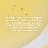 Odacité Anti Aging Serum Concentrate with Marula + Neroli, Elasticity Glow Recipe - Facial Oil for Hydration, Skin Texture & Visibly Smoother and More Supple Skin, 0.17 fl. oz