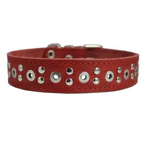 Genuine Leather Studded Dog Collar 22"x1" Red Fits 15"-19.5" Neck