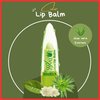 BioRLX 99% Purity Aloe Vera Lip Balm with Color(Tinted) (Two Lip Balms)
