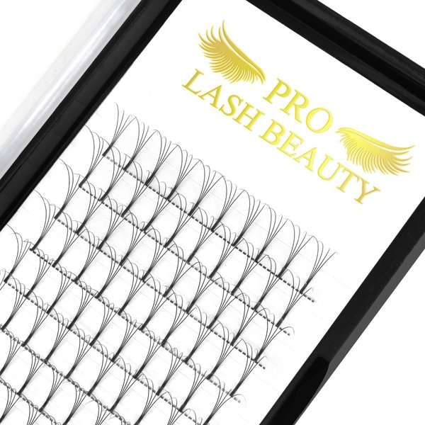 Premade Volume Eyelash Extensions 4D-D-0.10-11 Long Stem Premade Fans Eyelash Extensions .07 .10 Premade Volume Fans Volume Lash Extensions C D Curl(4D-D-0.10,11 mm)