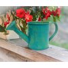 Better Crafts Metal Watering Can