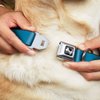Dog Collar Seatbelt Buckle Vivid Turquoise 16 to 23 Inches 1.5 Inch Wide