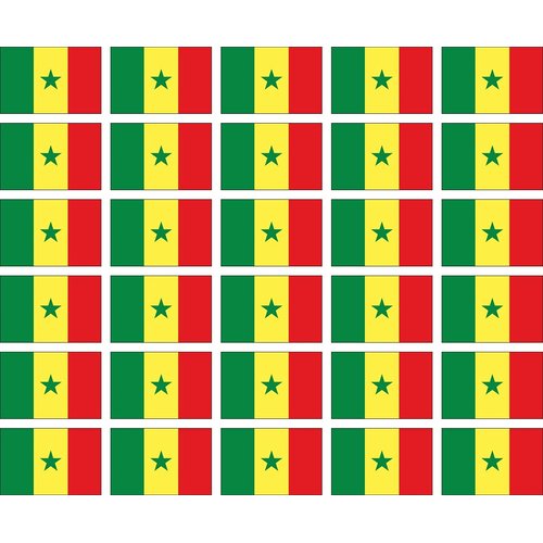 Womaha 30 Sheets Senegal Temporary Tattoos for Kids Football Temporary Face Tattoos