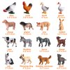 Flormoon 16Pcs Small Animals Figures, Realistic Farm Animals Toys for Cupcake Toppers, Learning Educational Toys, Birthday Party Favors Gift for Kids