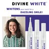 Divine White Snow Teeth Whitening Gel Pen with Brush Tip Applicator Includes 36% Carbamide Peroxide | Compact Design, Travel Friendly, Beautiful White Smile, Oral Care Teeth Whitening Pen, Pack of 3