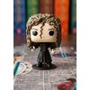 Funko Games Funko Harry Potter 100 Funkoverse - (4 Character Pack) ENGLISH Board Game, Multi Colour - Light Strategy Board Game for Children & Adults (Ages 10+) - 2-4 Players - Gift Idea