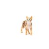 Schleich Farm World, Realistic Cute Cat Toys for Boys and Girls Ages 3 and Above, Bengal Cat Toy, 1 Count (Pack of 1)