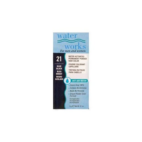 Water Works Waterworks Powder Hair Color #21 Blue Black (Pack of 4)