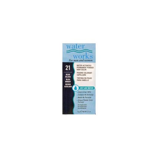 Water Works Waterworks Powder Hair Color #21 Blue Black (Pack of 4)