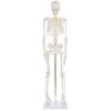 Alikeke Anatomy Lab Human Skeleton Model, 8" Mini Skeleton Replica Mounted to Base for Display, with Removable Skull Cap, Movable Arms and Legs, and Details of Human Bones