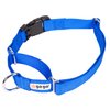 GOGO Pet Products 3/8-Inch Martingale Dog Collar, X-Small, Blue