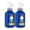 Bath and Body Works Gentle & Clean Foaming Hand Soap 8.75 Ounce 2-Pack (WInter)