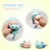 ZTATU Axolotl Squishy Animal Toys Stress Balls for Adults (2PCS) Axolotl Squishy Fidget Toys, Sensory Toys for Kids, Party Favors for Kids, Axolotl Gifts Stress Relief Toy, Easter Basket Stuffers