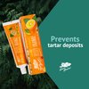 Green Beaver All Natural Organic Toothpaste, Vegan, Fluoride Free & Gluten Free Toothpaste, Zesty Orange Flavor, 75ml, 3 Pack
