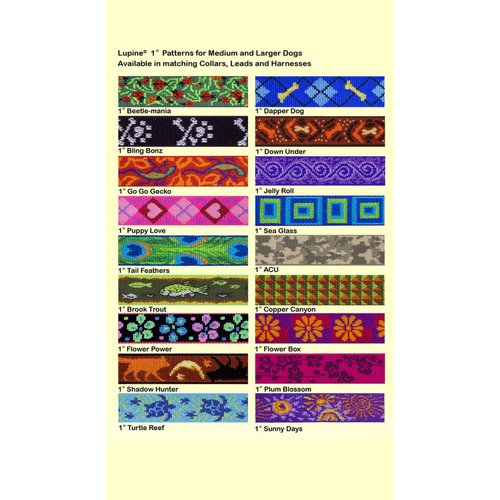 LupinePet Originals 1" Sea Glass 20-32" Adjustable Roman Dog Harness for Medium Dogs