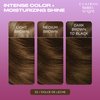Clairol Bold & Bright Permanent Hair Dye, 53 Dulce de Leche Hair Color, Pack of 1
