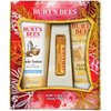 Burt's Bees Honey Pot Gift Set, 3 Honey Skin Care Products - Milk & Honey Body Lotion, Honey & Grapeseed Hand Cream and Honey Lip Balm