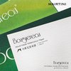 Mairtini Bouguereau Artist-Grade Art Gallery Series 100% Cotton Postcard Watercolor Paper Single Sheet 300g 20 Sheets 154 * 210mm(Cold-Pressed)
