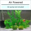 AQUANEAT Aquarium Bio Sponge Filter Breeding Fry Betta Shrimp Nano Fish Tank (Small up to 10Gal)