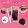 Manga Lash Clusters Wispy Natural Individual Lashes Volume C Curl Lash Clusters Spiky Fluffy DIY Eyelash Extension Clusters (8-16mm Mixed FD02)