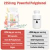 67,500 MG Polyphenols Supplement - Powerful Antioxidants & Polyphenol for Age Defense, Polyphenol Superfood, Quercetin, Resveratrol, Green Tea, Plant-Based & Energy, Immune Support, 180 Capsules