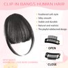 Cesomeey Clip in Bangs 100% Real Human Hair, Wispy Bangs Hair Clip, Hair Bangs Clip in Human Hair, Fake Bangs Fringe with Temples Hairpieces, Clip on Bangs for Women Daily (Natural Black, Wispy Bangs)