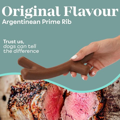 Nodo Argentinean Prime Rib Flavor Bone Dog Chew Toy - Long Lasting Puppy Teething Chew - Thermoplastic Rubber - Suitable for Small Breeds - Perfect for Indoor and Outdoor Use