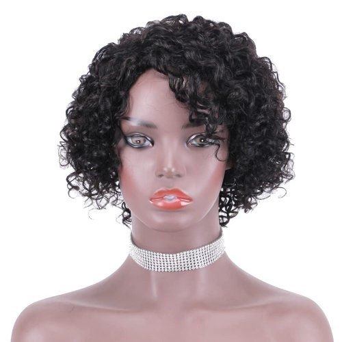 ZHENLISI Short Pixie Cut Afro Kinky Curly Brazilian Virgin Human Hair Wigs Short Jerry Curly No Lace Glueless Human Hair Wigs for Black Women