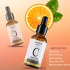 Le Nova Vitamin C Face Serum Skin Care - Anti Aging With Hyaluronic Acid,Ferulic Acid, Brightening Serum