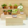 Dollhouse Decoration Plant Pots Miniature Green Potted Miniature Bonsai Model Dollhouse Accessories Decor,1 12 Scale Doll House Miniature Plant Model (4 Different Green Plant)