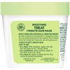 Garnier Fructis Smoothing Treat 1 Minute Hair Mask with Avocado Extract, 3.4 Fl Oz (Pack of 1)