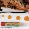 Barefoot Venus Travel Size Mini Argan Body Oil - 8 Milliliters (Maple Blondie)
