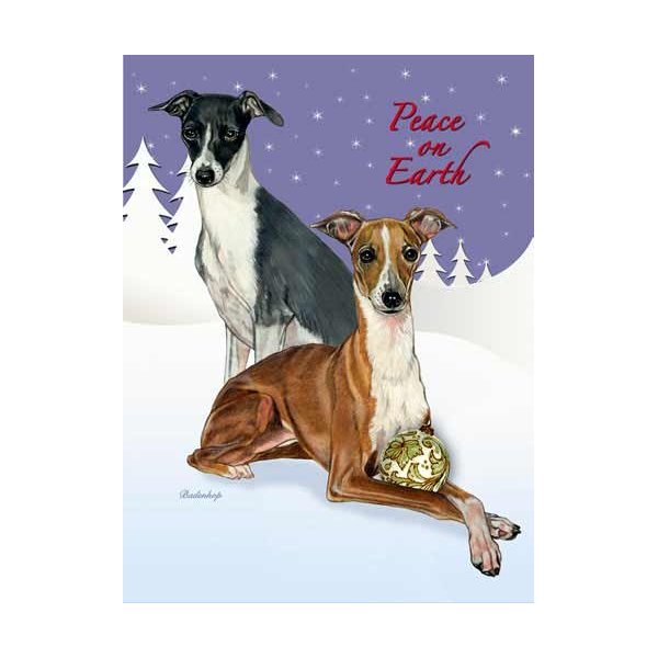 Pipsqueak Italian Greyhound Christmas Cards : 10 Holiday Cards with Red Envelopes - ADORABLE!