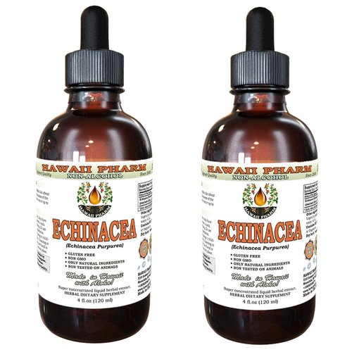Echinacea Alcohol-Free Liquid Extract, Organic Echinacea (Echinacea Purpurea) Dried Herb Glycerite Hawaii Pharm Natural Herbal Supplement 2x4 oz