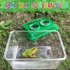Bug Catcher Kit for Kids,Educational Bugnoculars Bug Viewer Container with Tweezers Built in Double 5X Magnifier and Ruler to Catch & Observe Spider Frog Butterfly Fish Silkworm and Reptile (Green)