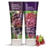 Desert Essence Italian Red Grape Shampoo - 8 Fl Ounce - Pack of 2 - Protection For Color Treated Hair - Antioxidants - Healthier & Smoother - Vitamin B5 - Sugar & Coconut Oil Cleansers
