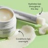 bareMinerals Ageless Phyto-Retinol Lip Treatment with Plant-Based Retinol Alternative + Hyaluronic Acid, Ultra-Hydrating Lip Balm, Vegan
