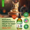 Natural Antibiotics for Cats | Cat Antibiotics | Supports Cat Allergy Relief | Cat Itch Relief | Cat Allergy Support | Cat Multivitamin | Pet Antibiotics | Cat Antibiotics | 2 Oz