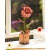 ROBOTIME 3D Puzzles Wooden Flower Pink Rose DIY Model Building Kit to Build for Adults Artifical Bouquet Botanical Collection Craft Brain Teaser Puzzle Creative Gift Home Decor