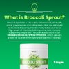 Vitapia Organic Broccoli Sprout Powder - High in Sulforaphane & Antioxidant, Cognitive Health Support - 30 Day Supply - Non GMO & Gluten Free, 33 Servings (Pack of 1)
