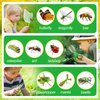 2Sets Bug Kids Catcher - Sturdy Kids Catching Kit of Christmas Bug Gifts with Retractable 360° Rotatable Magnifying Glass Butterfly Net- Kids Bug Habitat Outdoor Explorer Kit for Kids Age 3 4 5 6 7 8