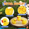 Rachan 260 Pcs Yellow Mini Ducks Bulk Resin Duck Figurines for Miniature Landscape Garden Aquarium Potted Accessories Home Prank Game Dollhouse Decor Office Decompression