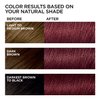 L'Oreal Paris Feria Multi-Faceted Shimmering Permanent Hair Color, 41 Crushed Garnet (Rich Mahogany), Pack of 1, Hair Dye