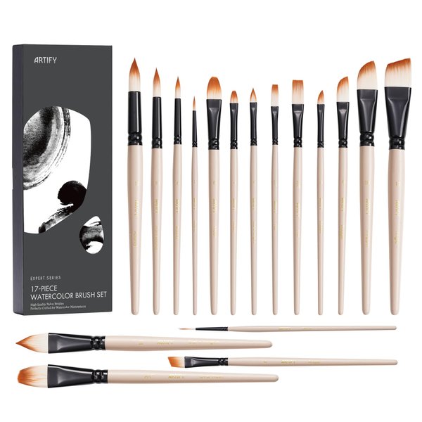 ARTIFY Watercolor Brush Set, 17 Pcs Professional Paint Brushes with Case for Beginners and Artists, Suitable for Watercolor, Gouache, Ink, Tempera, and Fabric Painting