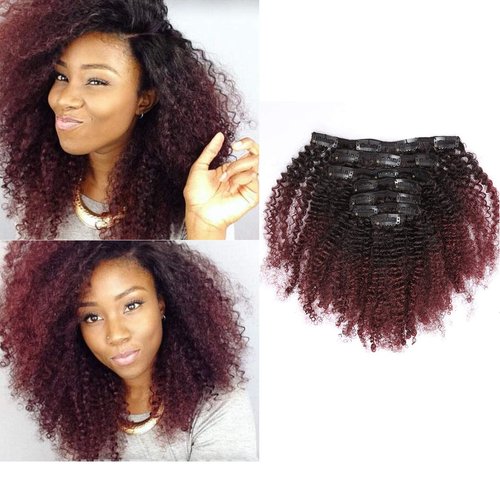 Anrosa Kinkys Curly Clip in Hair Extensions Human Hair 3C 4A Afro Kinky Curly Clip ins Natural Hair Real Remy Thick Human Hair Extensions for Black Women (18 inch, Ombre #1B/99J)