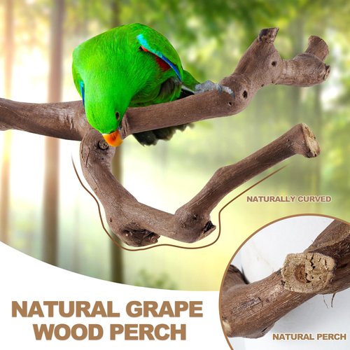 LIMIO 6PCS Bird Perch 2 Grape Stick Paw Grinding Fork Natural Wood Bird Stand 4 Parrot Stand Bird Toys for Parakeets Chewing Exercise Branches, Bird Cage Accessories for Cockatiels, Conure, Budgies
