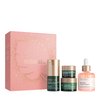 Biossance Most Loved + Luminous Skincare Holiday Gift Set, Vitamin C Rose Face Oil, Marine Algae Eye Cream, Omega Repair Face Moisturizer, and Lactic Acid 10% resurfacing face serum, $143 value, 1 Set
