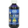 Trace Minerals | Kid's Multi Liquid Multivitamin Supplement with Vitamin C, Zinc, & Minerals | Supports Healthy Bones and Immunity | Natural Citrus Punch Flavor | 48 Servings, 8 fl oz (1 Pack)