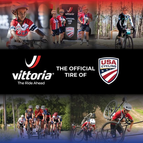 Vittoria Rubino Pro Control IV Graphene 2.0 - Performance Road Bike Tire for The Worst Road Conditions - Foldable Bicycle Tires (700x25c)