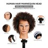 STUDIO LIMITED 100% Human Hair Mannequin Head Cosmetology Barber Salon Practice Mannequin Personal Student Tool (8'' Afro)